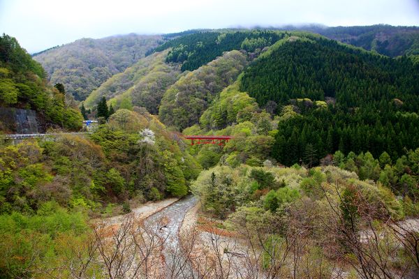 芽吹きの松川渓谷山田温泉