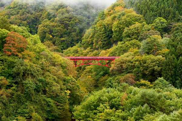 山田温泉山田館