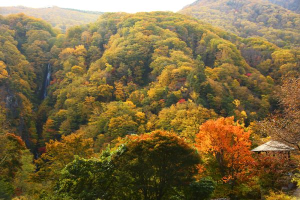🍁松川渓谷 紅葉情報🍁