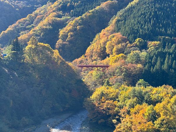🍁松川渓谷 紅葉情報🍁